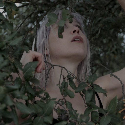 操大姨子逼视频
